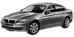 BMW F10 P3901 Fault Code